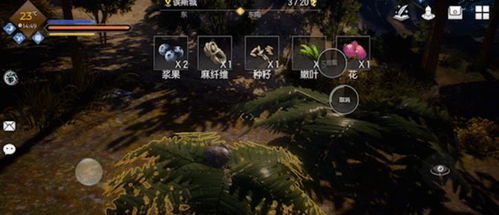 暮光采石场深度攻略：33号远征队全收集秘籍揭秘