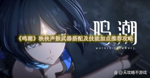 《鸣潮》赞妮培养攻略：武器声骸搭配与全面提升技巧解析