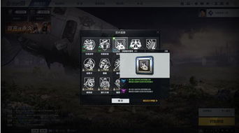 《光与影33号》独享秘籍：轻松解锁维尔索泳装攻略