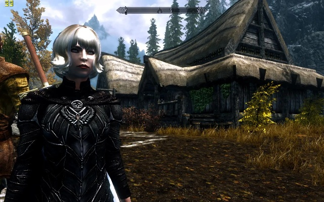 上古卷轴4重制版画面优化秘籍：帧数提升攻略全解析