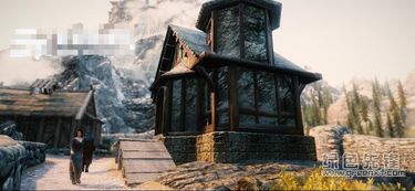 上古卷轴4重制版快速升级攻略，揭秘高效新技巧！