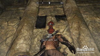 上古卷轴4重制版沃伦德朗攻略：高效获取秘法解析