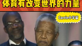 《秘影曼德拉》辩护家强力攻略，深度解析新价值策略