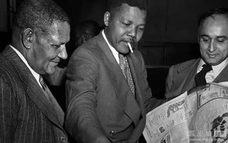 《秘影曼德拉辩护家解析：优缺点全揭秘，实战价值高不高》