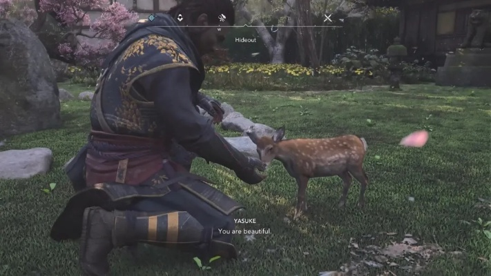 《刺客信条影》宠物收集秘籍：解锁全宠物获取攻略技巧