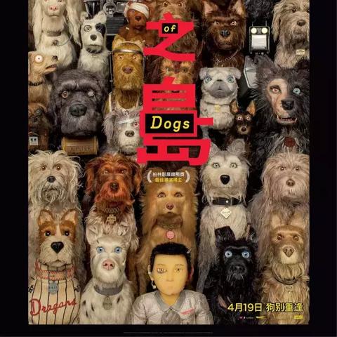 《勇闯死人谷暗黑之日》新手开局组合攻略：揭秘最强搭配技巧