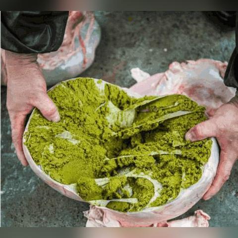 《荒野特产速采攻略》高效路线推荐，一网打尽珍稀资源