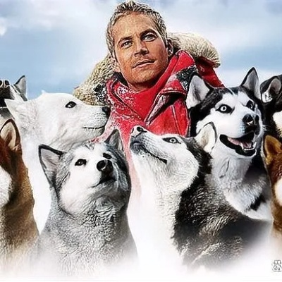 《好莱坞动物》全攻略：揭秘动物明星养成记