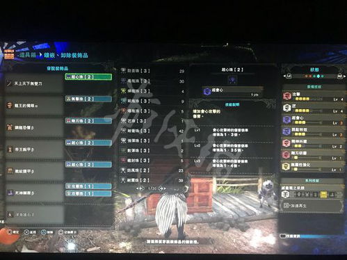 平A流攻略升级：片手高回复荒野猎人秘装解析