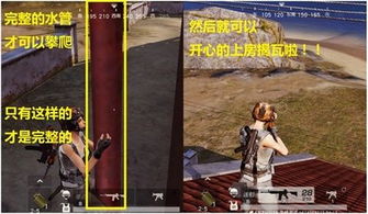 铳枪绝技全解析，荒野狩猎新境界！