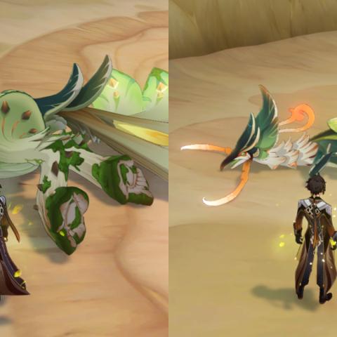 翠翎恐蕈强强联手，揭秘《原神》格斗赛新霸主阵容！