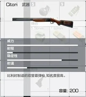 铁王八铳枪绝配攻略：荒野狩猎新境界