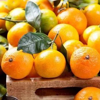 三国志英雄致富攻略：高效刷钱秘籍大公开