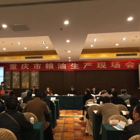 三国致富秘籍：英雄立志传快速赚钱攻略大揭秘