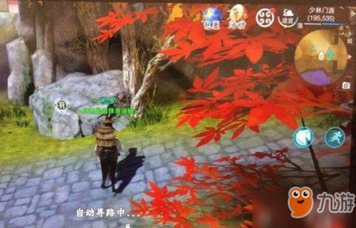 荒野奇遇！揭秘小睛睛神秘睡姿地点攻略