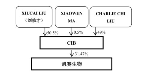 双刀鬼人机制精解：核心思路与配装策略深度剖析