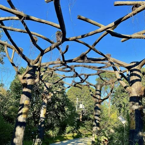 《开放空间》树影长廊全收集攻略：揭秘宝箱与星星隐藏秘境