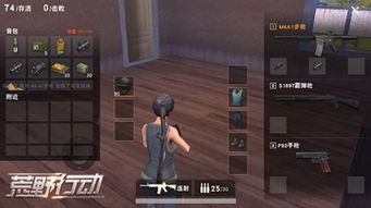 荒野铳枪连击5秘配攻略，解锁最强输出新境界