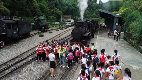 荣花竞捷龙龙寻宝，满奖励路线攻略秘籍大揭秘
