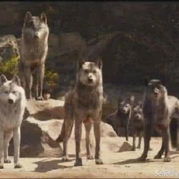 《饿狼传说群狼之城》中断系统揭秘：深度解析全新战斗策略