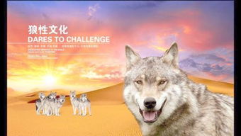 《饿狼群狼之城》深度解析：REV武技加速系统，解锁战斗新境界