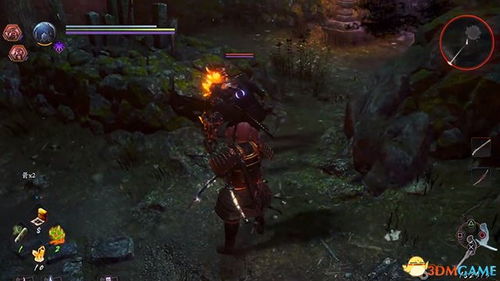 《荒野猎人双刀攻略：深度解析锁刃龙招式技巧》