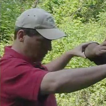 《荒野猎人》弓派图鉴揭秘：弓手进化之路全解析