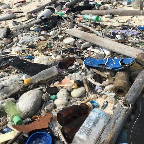 《怪物猎人荒野》高效采集攻略：揭秘消耗品采集新技巧