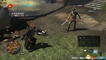 《刺客信条影》藏蝶人攻略：解锁神秘蝴蝶人任务全解析