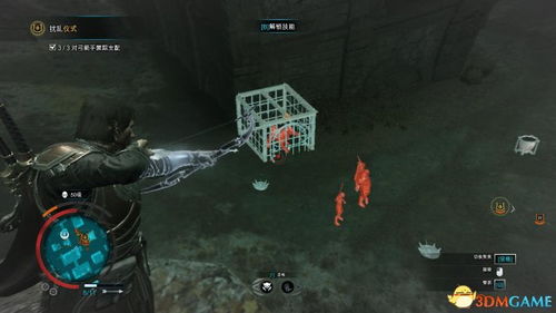 《刺客信条影》家族纹章位置探秘，高效收集攻略指南