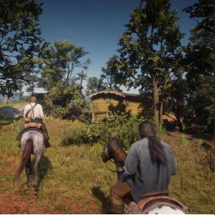 《荒野猎人》攻略秘籍：深度解析常见疑问与技巧分享