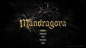 《秘影曼德拉》攻略：价格解析+预购福利+配置必备指南