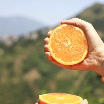 春促必抢清单，史低新游盘点，错过再等一年，超值好物速来抢！