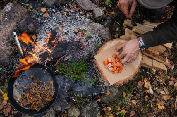 《荒野食材秘籍：高效获取与神奇功效全解析》