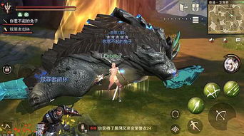 护辟兽弓VS辟兽弓：全面解析荒野狩猎新利器