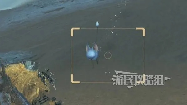 沙野流星捕捉秘籍：荒野猎人必看稀有生物攻略
