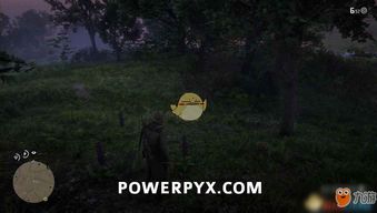 荒野奇遇！端丽翼鸟捕捉秘境大公开，探索新境界