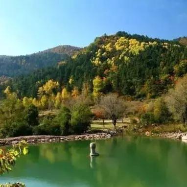 《怪物猎人荒野》全武器毕业秘籍，打造最强狩猎阵容攻略！