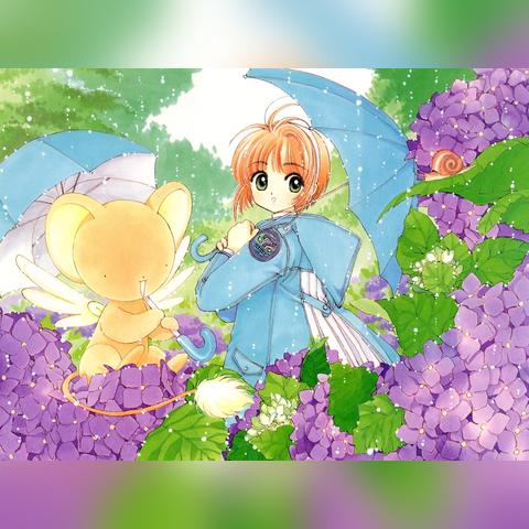 荒野奇遇！绚烂翼鸟捕捉攻略详解，掌握神秘新技能