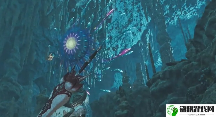 荒野大望花水母捕捉攻略，探秘高效捕获技巧