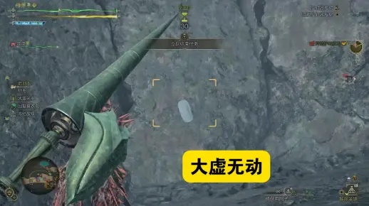 荒野狩猎攻略：大虚无动捕捉技巧与位置解析