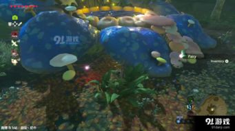 荒野奇遇：足迹蜥蜴踪迹与大王旗鱼栖息地探秘