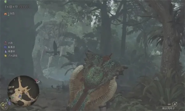 荒野奇遇！端丽翼鸟捕捉攻略，荒野猎人必看秘境