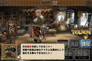 荒野狩猎利器！属性双刀配装攻略大揭秘，打造最强猎人！