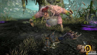 桃毛兽藏身荒野秘境，探秘掉落珍稀素材攻略