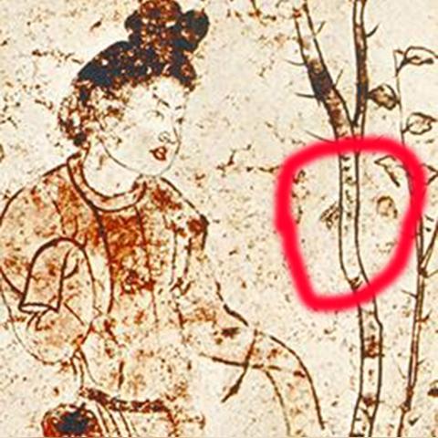 苦虫刷取路线攻略，荒野高效获取新技巧