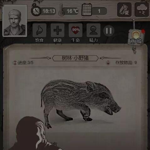 《荒野猎人炼金票高效攻略：轻松无限刷金新技巧》