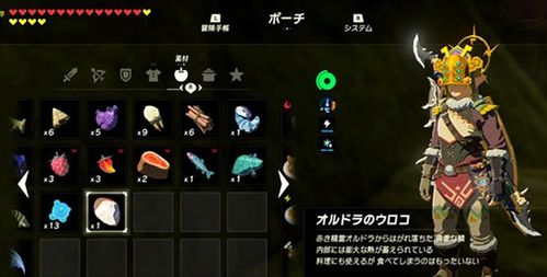 荒野重弩炮护锁刃龙攻略：全新样式与高效狩猎路线解析