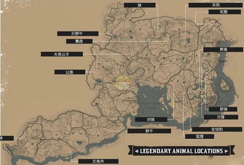 《荒野猎怪秘境探秘：冻峰龙大剑新样式路线全解析》