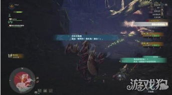 《怪物猎人荒野》龙骨遗迹探秘：骨冢位置与高效收集攻略